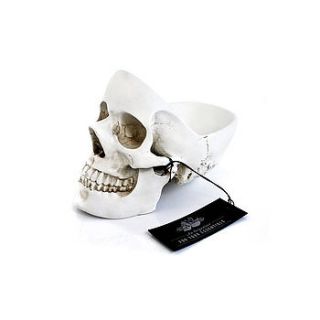 skull desk tidy by suck uk