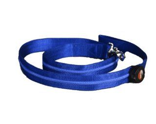 Aviditi AL107 L LED Lighted Dog Leash, Blue with Blue LED Lights, Large  Pet Leashes 