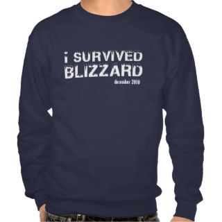 Blizzard iSurvived 2010 Funny Shirt