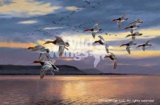 Daybreak At Lake Pepin Migrating Canvasbacks by David Maass Limited Edition Print of 750  