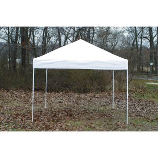 ShelterLogic Pop-Up Canopy — 10ft.L x 10ft.W, Open Top, Straight Leg, White, Model# 22586  Pop Up Canopies