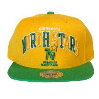 Minnesota North Stars Mitchell & Ness NHL Vintage Arch w/ Vintage Logo Tri pop Snapback Hat Clothing