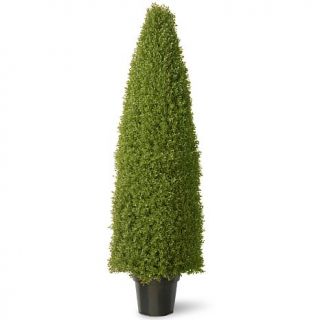Artificial 60" Boxwood Tree in Green Growers Pot