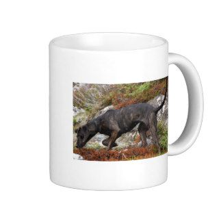 plott hound full mug