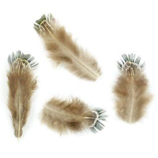 Touch of Nature Green Almond Feathers for Arts and Crafts, 2gm