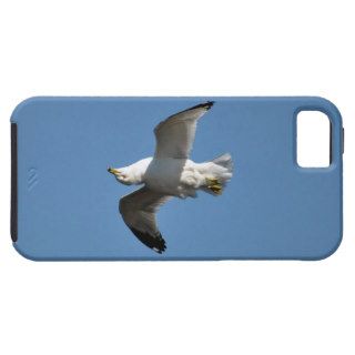 Upside down Flying Gull Wildlife Collection iPhone 5/5S Cases