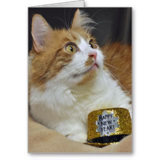 Greyfoot Cat Rescue New Years Greeting Card