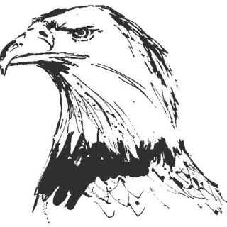 Art Impressions Wilderness Eagle Head Clear Rubber Cling Stamp