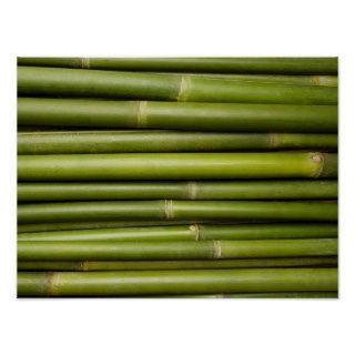 Natural Bamboo Zen Background Customized Template Posters