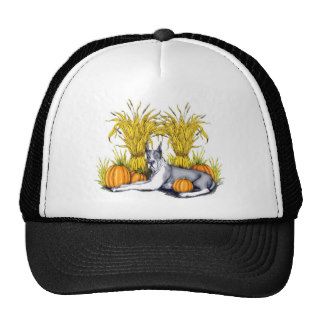Great Dane Mantle Harvest Mesh Hat