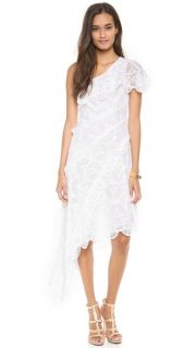 Catherine Malandrino Lace One Shoulder Gown