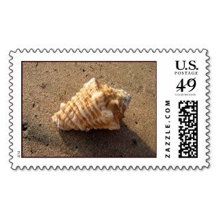 Conch Shell Stamp (Color)