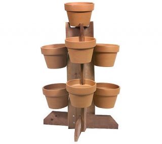 Wooden Plant Stand w/7 Terra Cotta Pots —
