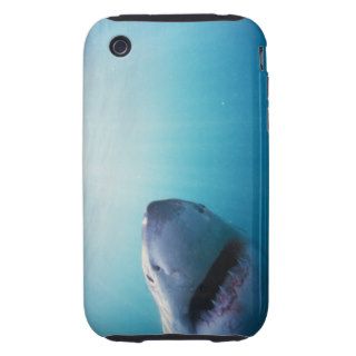 Great White Shark iPhone 3 Tough Case
