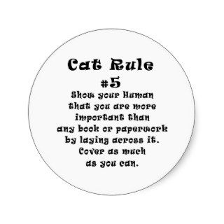 Cat Rules Number 5 Stickers