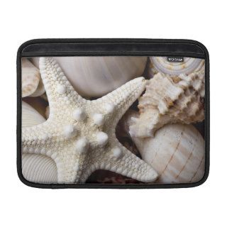 Sea Shell Starfish Background   Beach Shells MacBook Air Sleeve