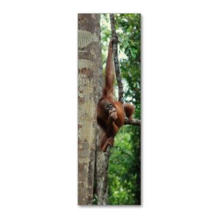 Wildlife Tree Hugger Mini Bookmarks Business Cards