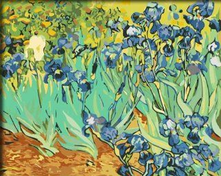 DiyOilPaintings Paint By Numbers Kits, Iris Flower Paint By Number Kits, Origin Paintings By Van Gogh, 16"x20"