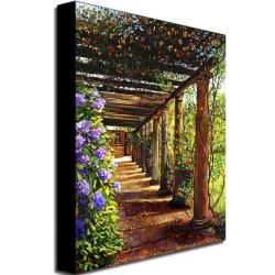 David Lloyd Glover 'Pergola Walkway' Gallery Wrapped Canvas Art Trademark Fine Art Canvas