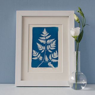 fern studies one fine art print by hunt and gather design