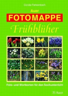 Auer FOTOMAPPE   Frhblher Foto  und Wortkarten fr den Sachunterricht 1. bis 4. Klasse Carola Fehrenbach Bücher