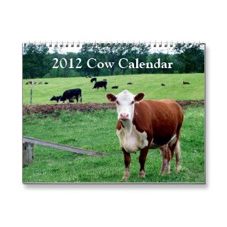 2012 Cow Calendar