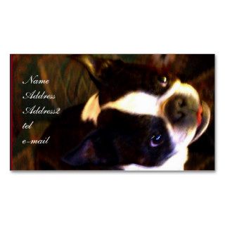 Boston Terrier business Card