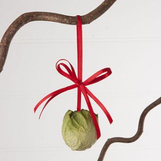 sprout christmas tree decoration by the contemporary home