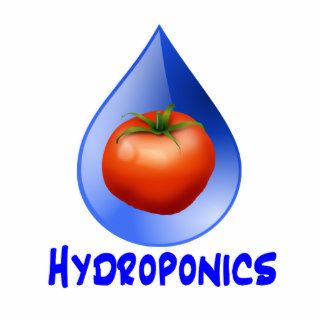 Hydroponic Tomato water drop design logo Photo Sculptures