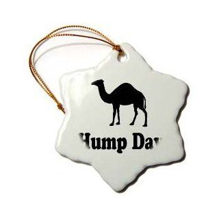 Shop 3dRose LLC orn_159637_1 Porcelain Snowflake Ornament, 3 Inch, "Hump Day Camel Wednesday" at the  Home Dcor Store. Find the latest styles with the lowest prices from 3dRose