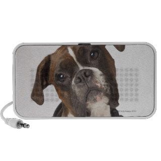 boxer dog with headphones portable speakers