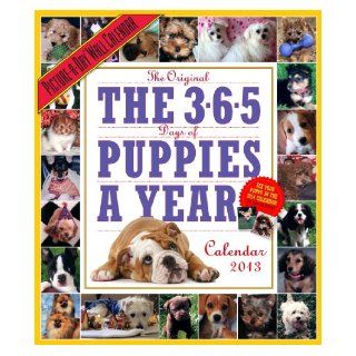 The 365 Puppies A Year 2013 Wall Calendar Workman Publishing 9780761167099 Books