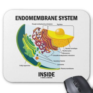 Endomembrane System Inside Mouse Pad