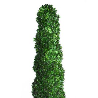 Laura Ashley Home Tall Preserved Spiral Boxwood Square Topiary in