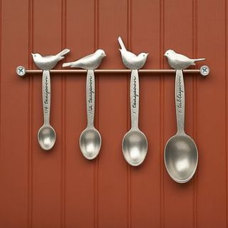 bird measuring spoon set by lucas bond