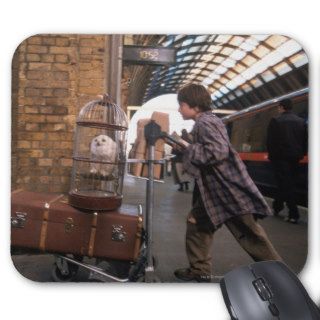 Harry and Hedwig Platform 9 3/4 Mousepads