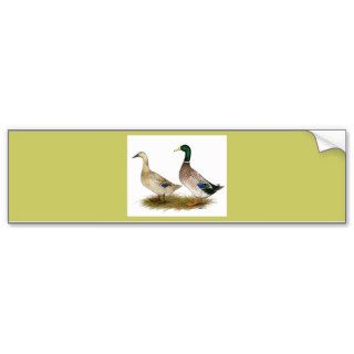 Ducks  Silver Welsh Harlequin Bumper Sticker