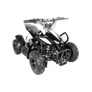 eWheels LLC Go Bowen 36V Battery Powered ATV