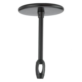 Sea Gull Lighting Ambiance Rail Contemporary Canopy Adapter in Antique