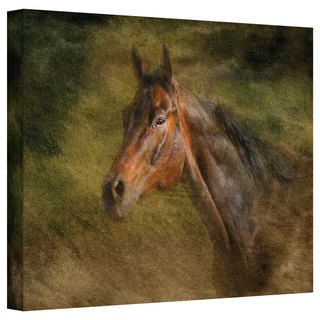 David Liam Kyle 'Majestic Horse' Gallery Wrapped Canvas ArtWall Canvas