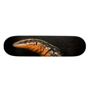 Anatololacerta Lacerta Oertzeni Rock Lizard Skate Boards