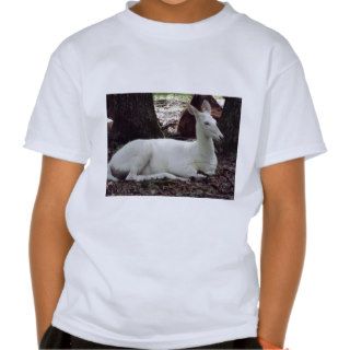 Pennsylvania Whitetail Albino Deer T shirts