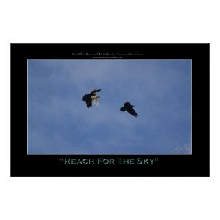 "REACH FOR THE SKY" Photo Print or Poster