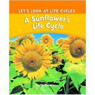 A Sunflower's Life Cycle (Let's Look at Life Cycles) Ruth Thomson 9781615322305  Kids' Books