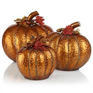 Set of 3 Copper Colored Pumpkins with Autumn Accents