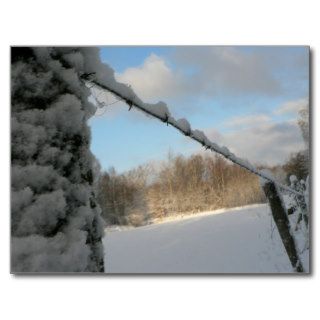 Snowy Barbwire Fence Post Cards