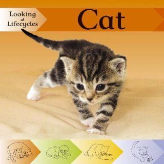 Cat (Looking at Lifecycles) Victoria Huseby 9780749671075 Books