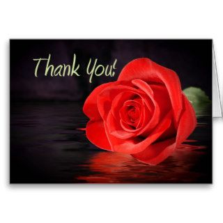 Red Rose Thank You Greeting Cards