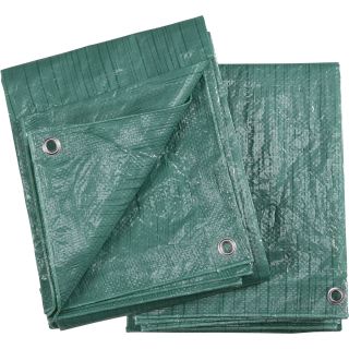 Ironton 2-Pack of Green Poly Tarps — 8ft. x 10ft.  Blue   Green Tarps