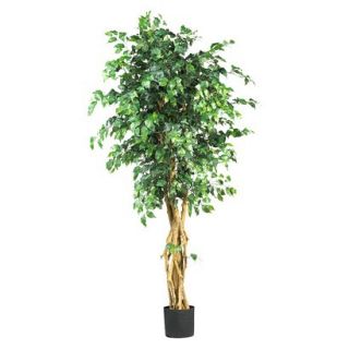 Nearly Natural Art Tree   Green (6 Ft)